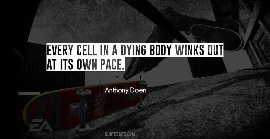 Own Pace Quotes #83886