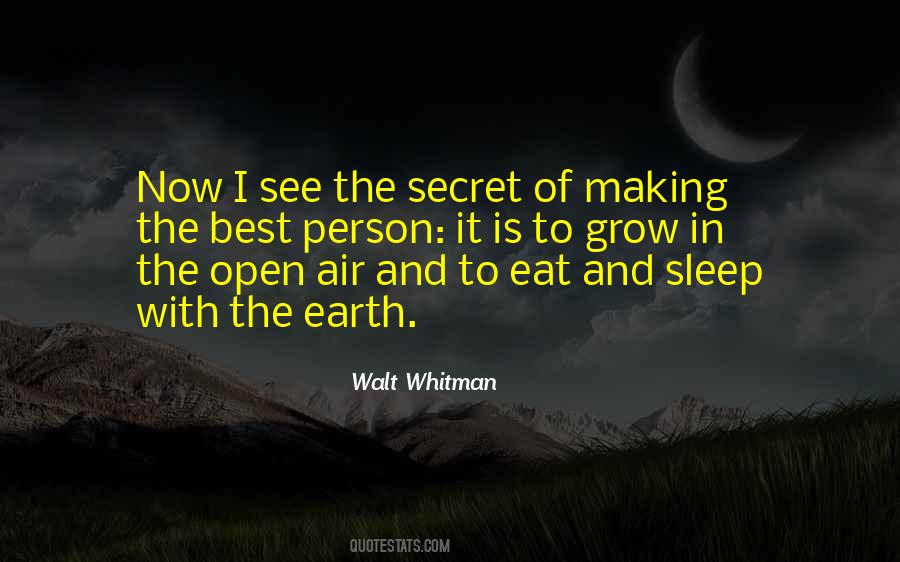 Making The Best Of It Quotes #1279448