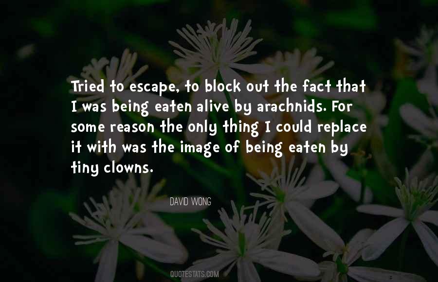 Quotes About The Clowns #1615312