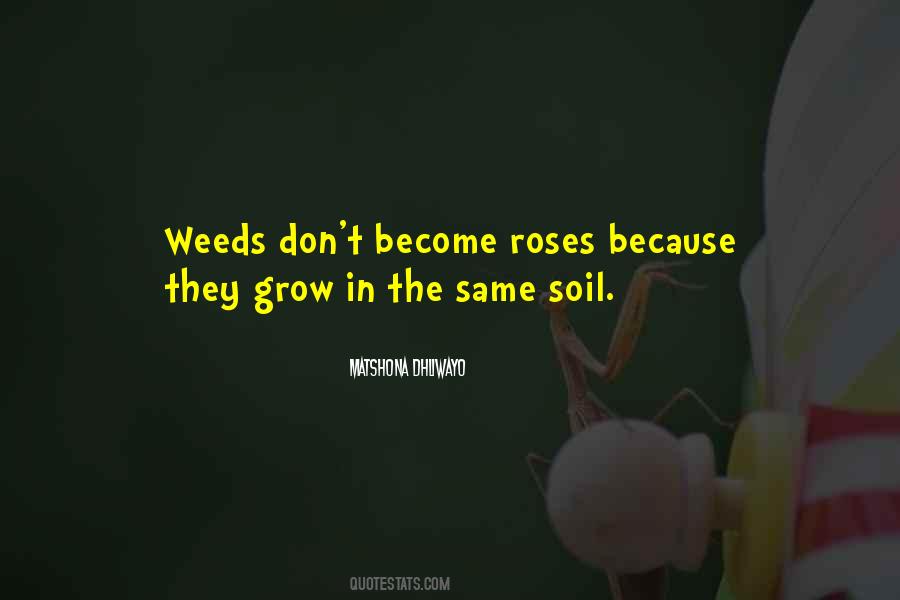 In The Weeds Quotes #962575