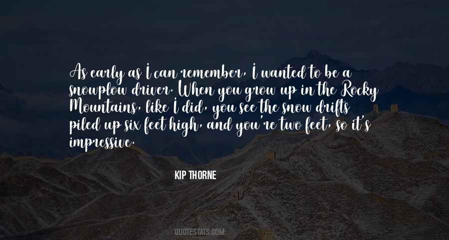 I Wanted It To Be You Quotes #564711