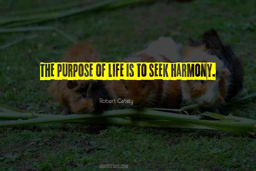 Purpose Of Life Philosophy Quotes #373952