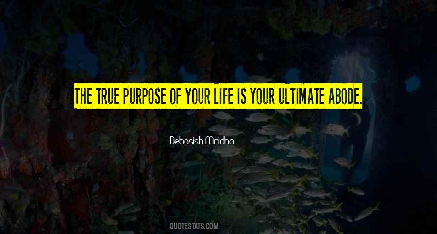 Purpose Of Life Philosophy Quotes #418532