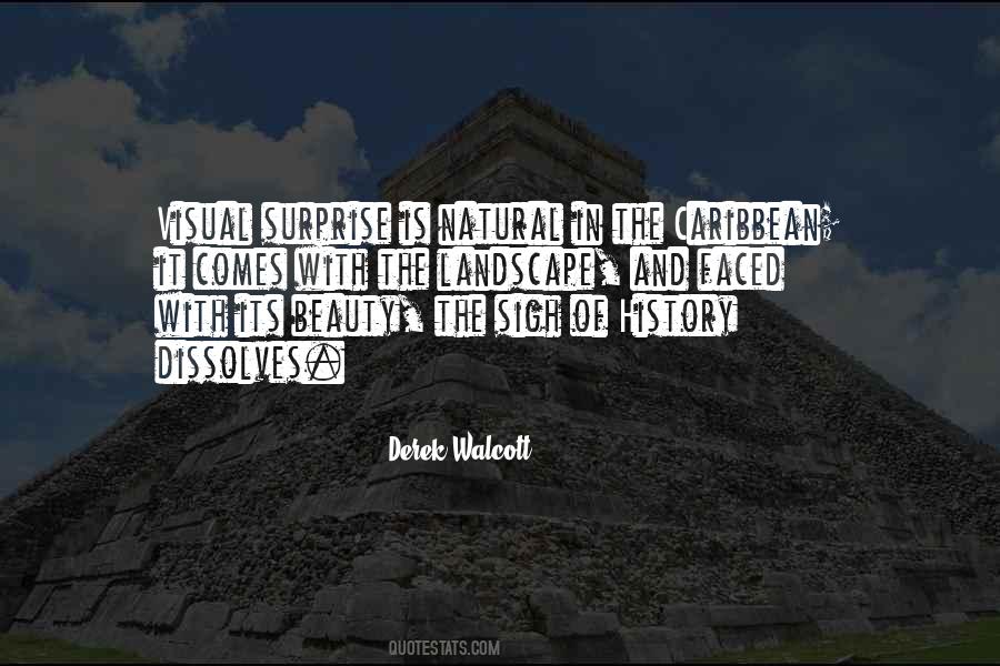 Beauty Of History Quotes #469082