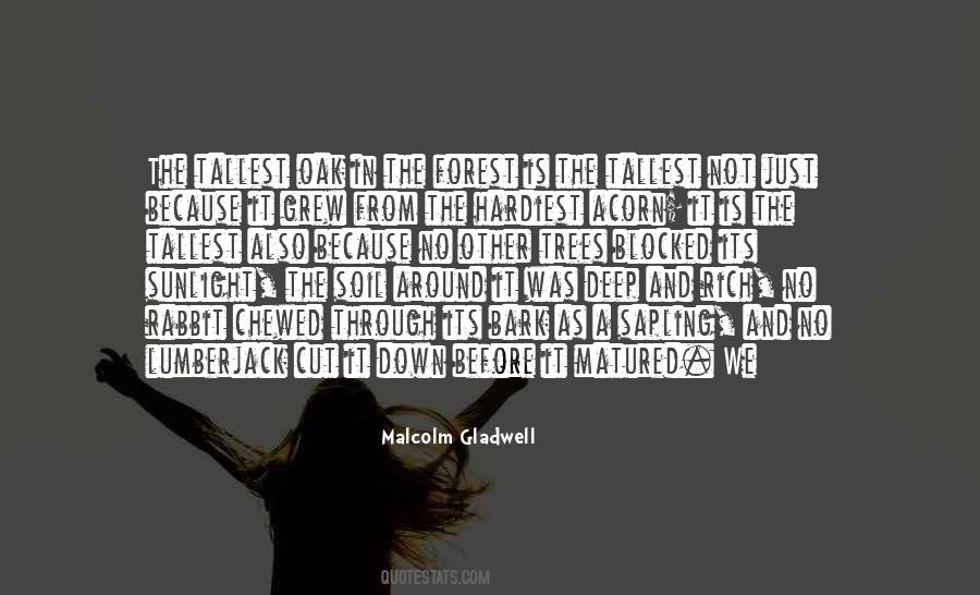 Forest Through The Trees Quotes #465454