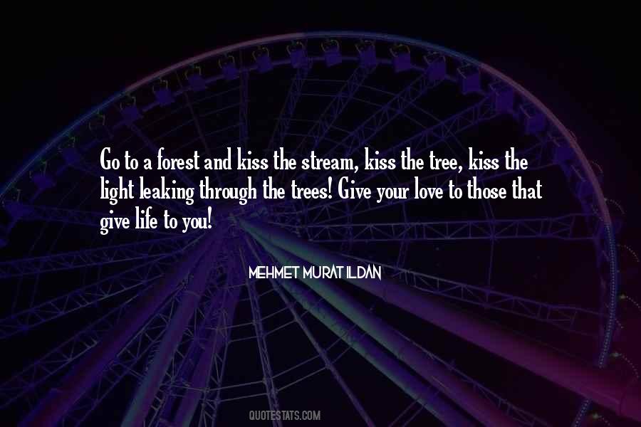 Forest Through The Trees Quotes #848598