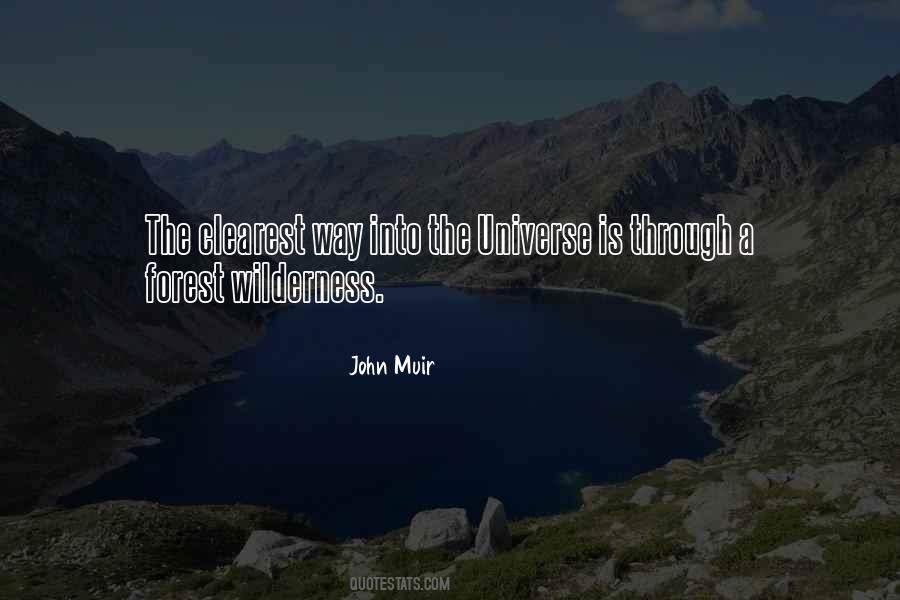 Forest Through The Trees Quotes #972400