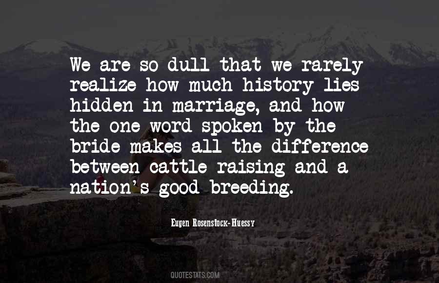 So Much Lies Quotes #1800552