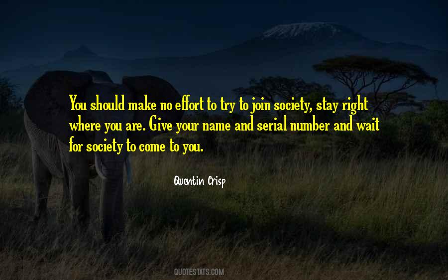 Effort Inspirational Quotes #1001022