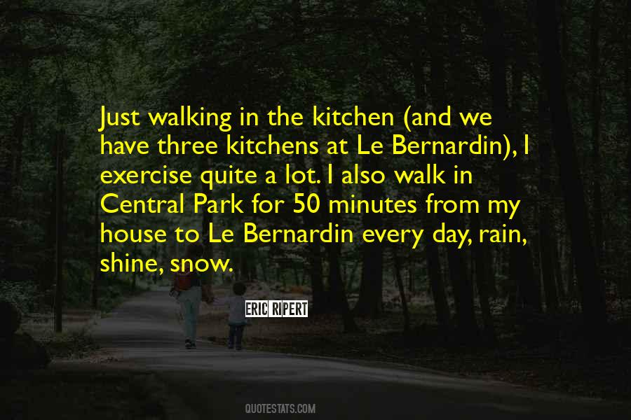 Walk In Rain Quotes #231955