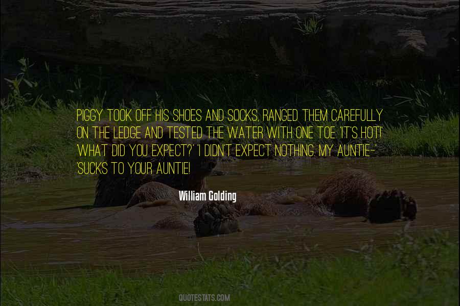 On The Shoes Quotes #316287