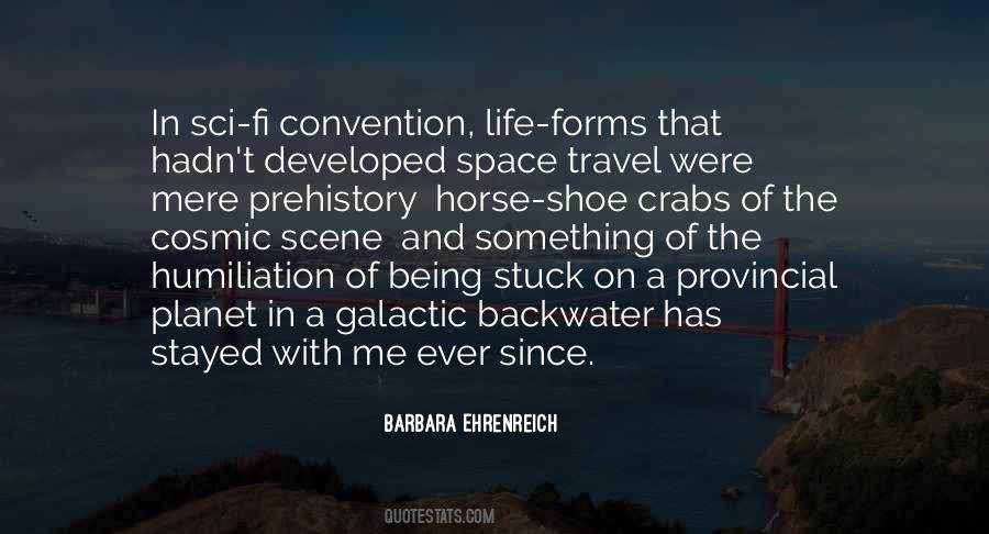 On The Shoes Quotes #38574