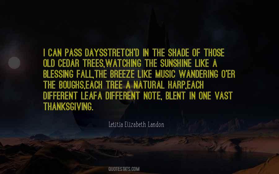 Like The Breeze Quotes #1252423
