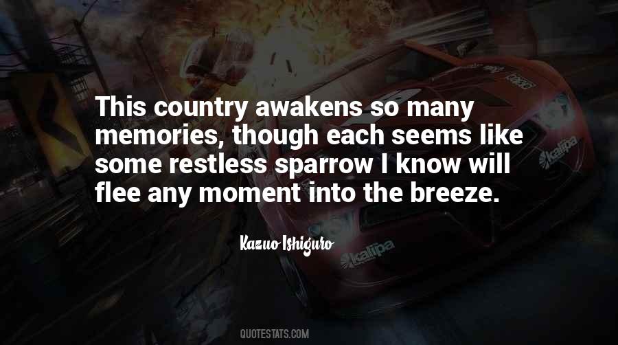Like The Breeze Quotes #650258