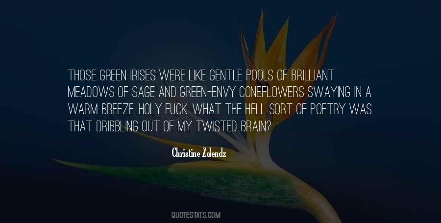 Like The Breeze Quotes #801102