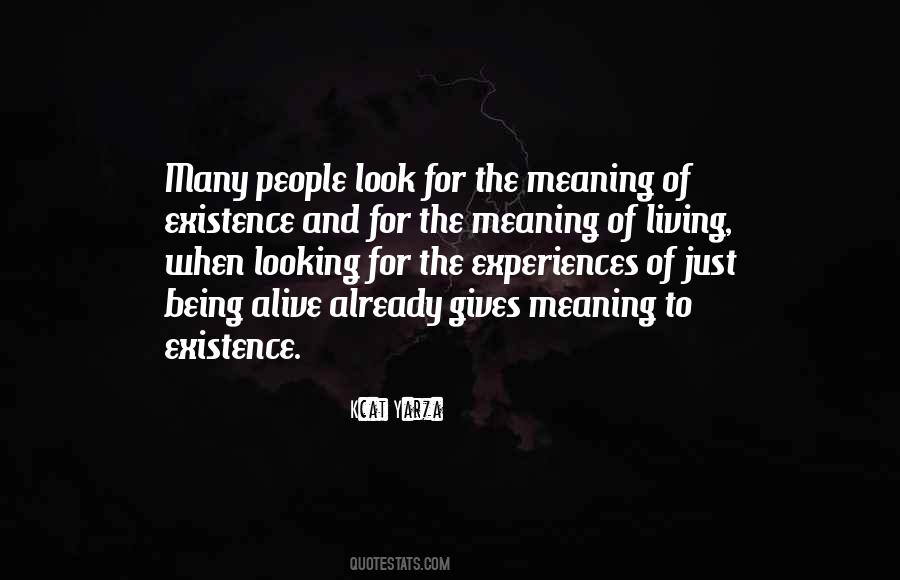 Meaning Motivational Quotes #1309421