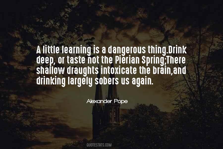 Little Learning Is A Dangerous Thing Quotes #1361325