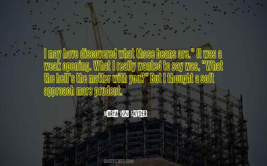 What The Hell Are You Quotes #1340827