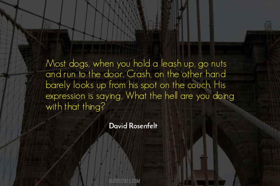 What The Hell Are You Quotes #789779