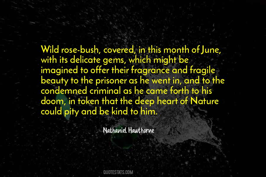 Beauty Deep Quotes #832216