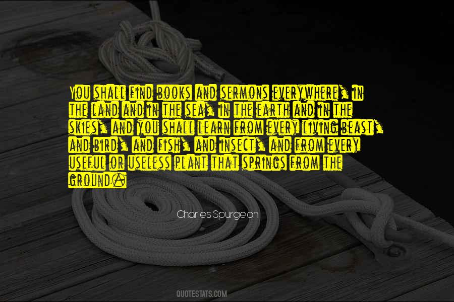 Spring Bird Quotes #209996