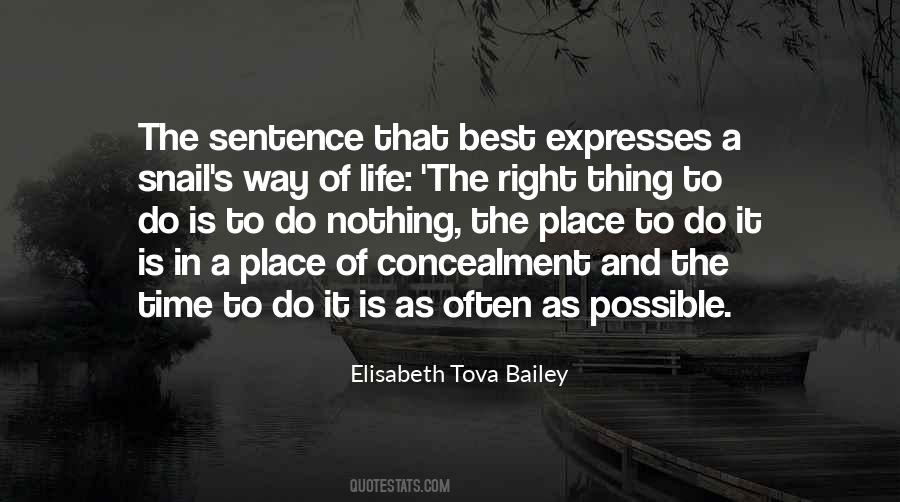 The Sentence Quotes #1748409