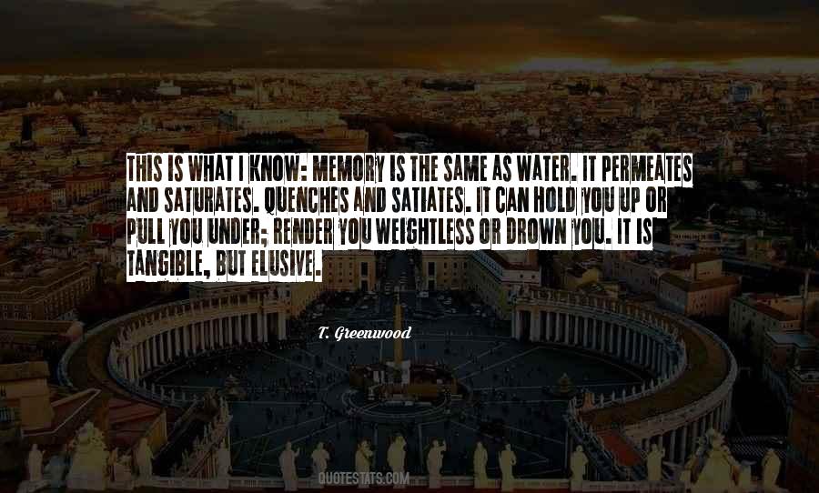 What Is Memory Quotes #476560