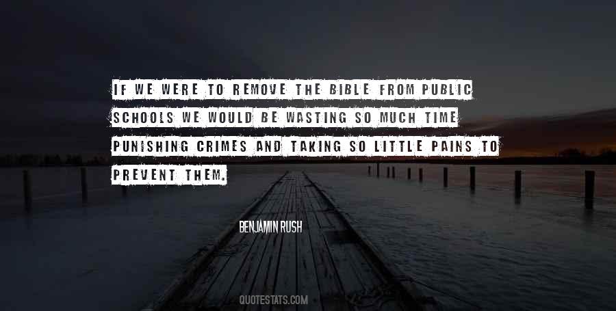 Pain Pains Quotes #1528447
