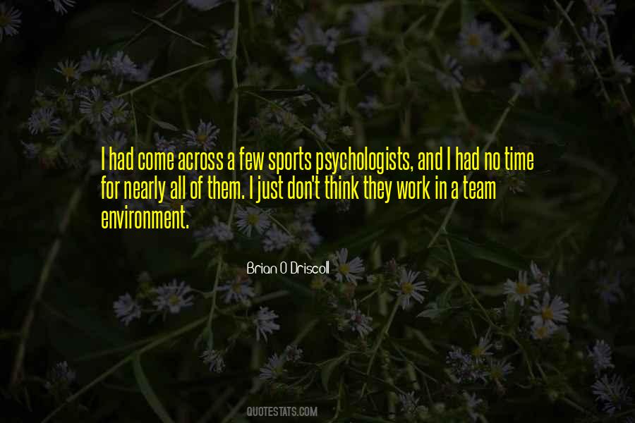 Team Environment Quotes #1100110