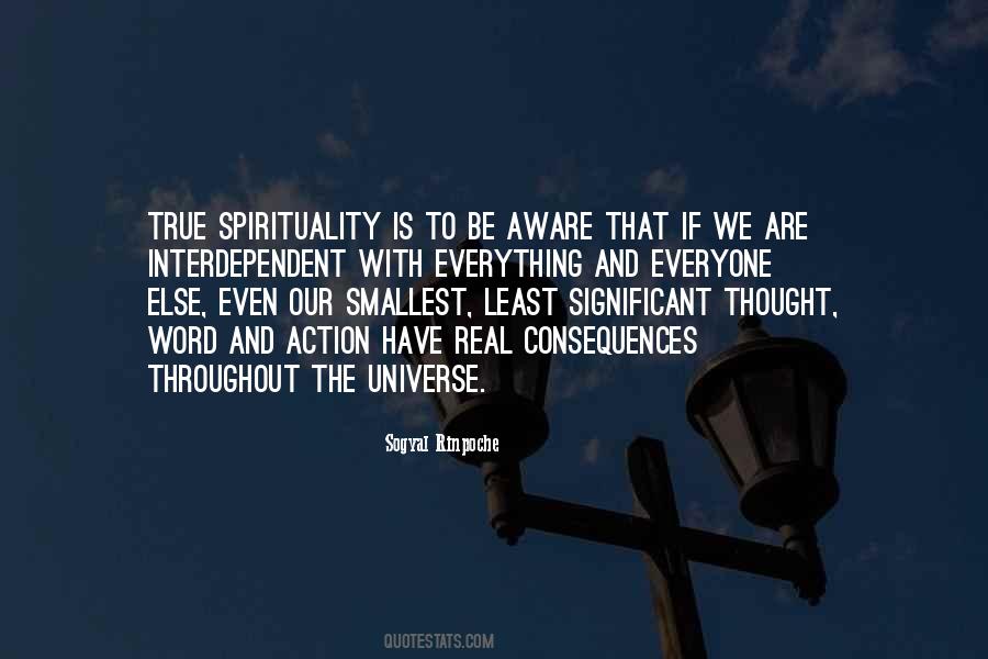Universe Spirituality Quotes #563456