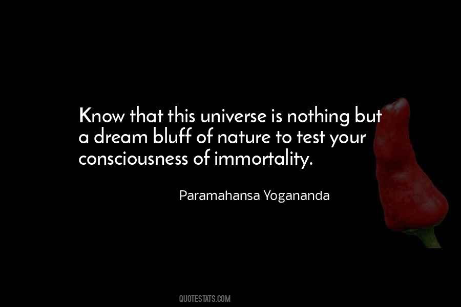 Universe Spirituality Quotes #695056