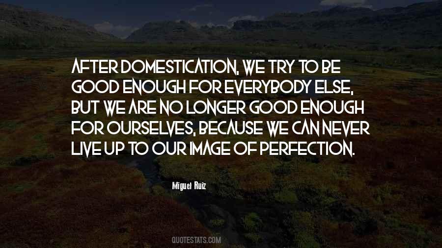 We Are Good Enough Quotes #497741