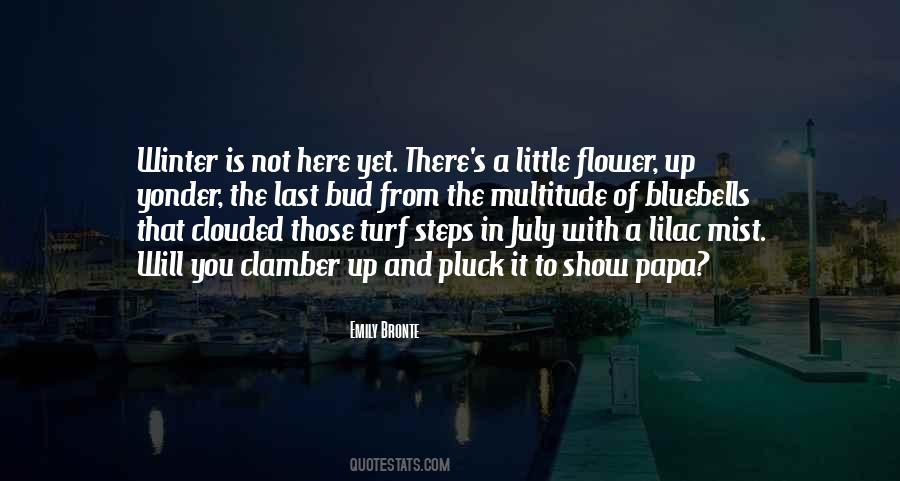 The Papa Quotes #1105191