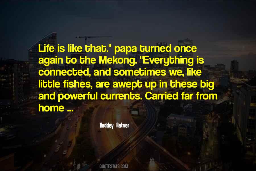The Papa Quotes #725636