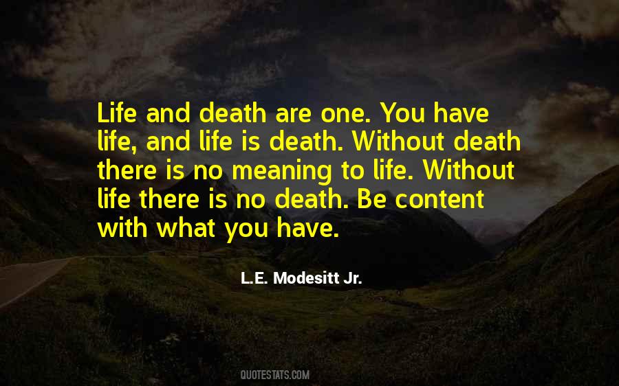 No Meaning To Life Quotes #1235974