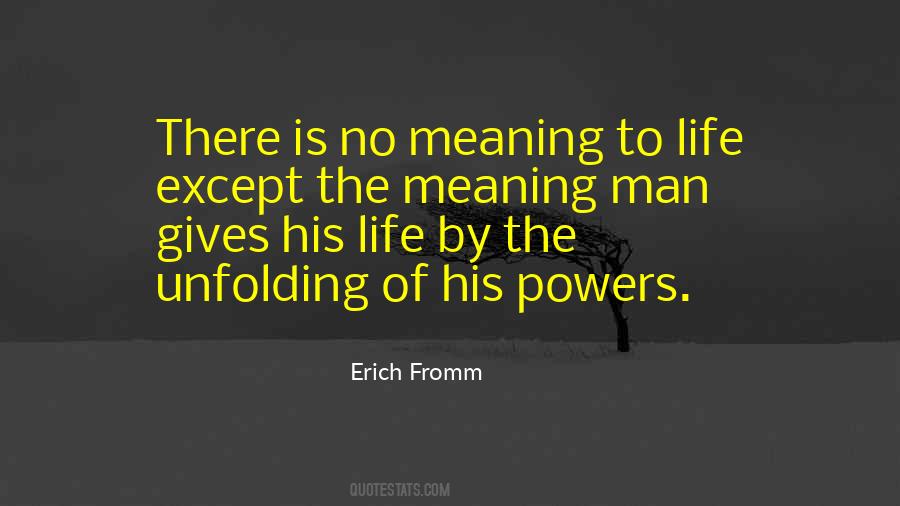 No Meaning To Life Quotes #1282376