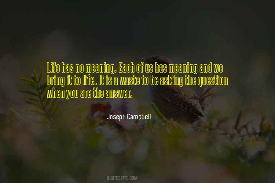 No Meaning To Life Quotes #1484624