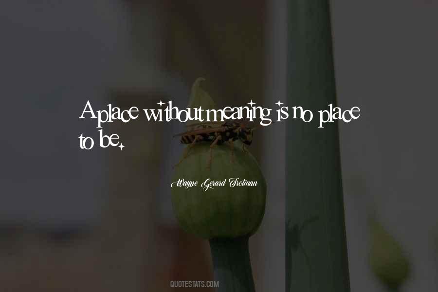 No Meaning To Life Quotes #429897