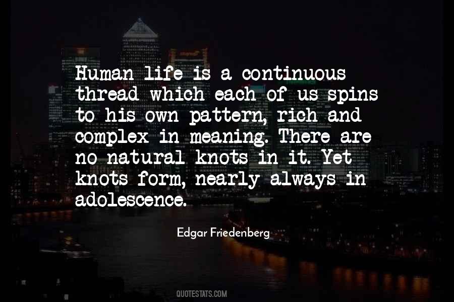 No Meaning To Life Quotes #545019