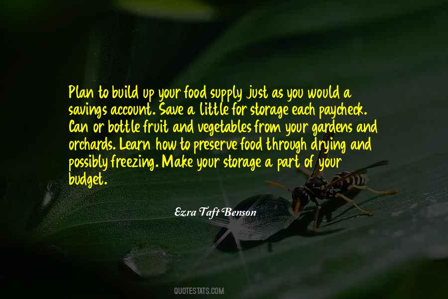 Budget Plan Quotes #1588490