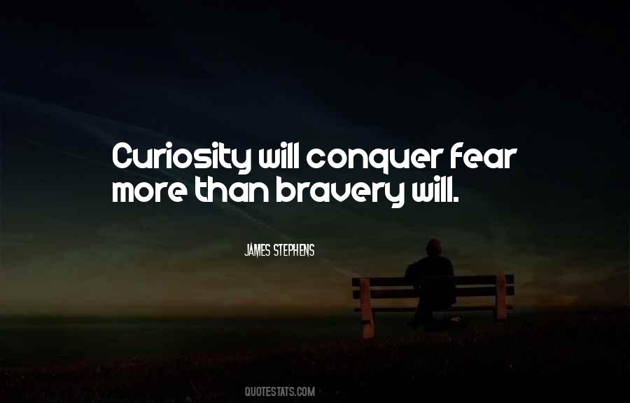 Fear Bravery Quotes #940689