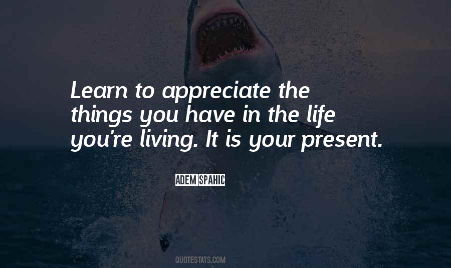 Learn To Appreciate What You Have Quotes #69860