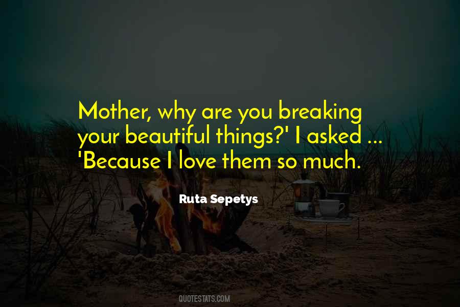 I Love Beautiful Things Quotes #940736