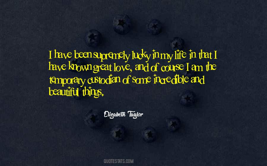 I Love Beautiful Things Quotes #955056