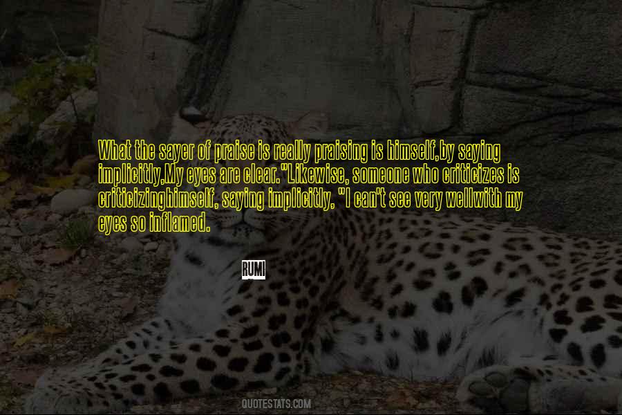 What The Eyes Can See Quotes #1260878