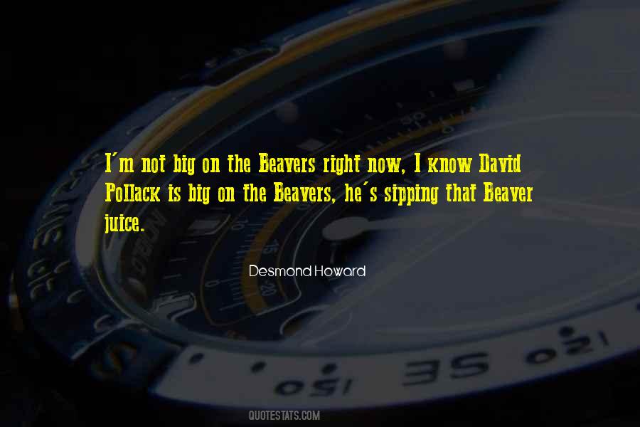 The Beaver Quotes #1761840