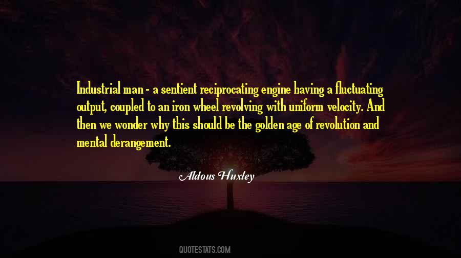 Quotes About The Industrial Revolution #491449