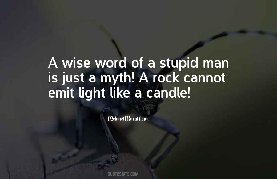 Wise Stupid Quotes #1711176
