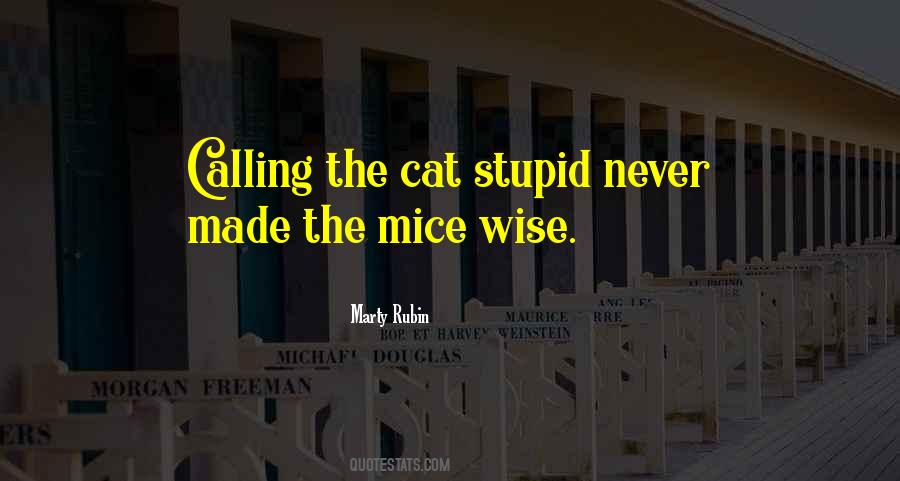 Wise Stupid Quotes #175955