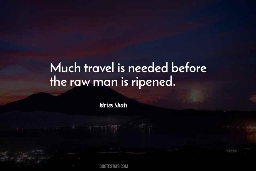 Travel Wisdom Quotes #434873